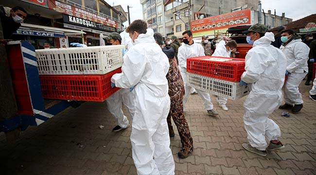 Avcılar Longoz Ormanlarına 900 Ördek Bıraktı