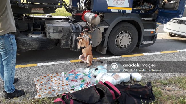 Narkotik Köpek Larissa'nın Başarısı! 20 Kilogram Uyuşturucu Ele Geçirildi
