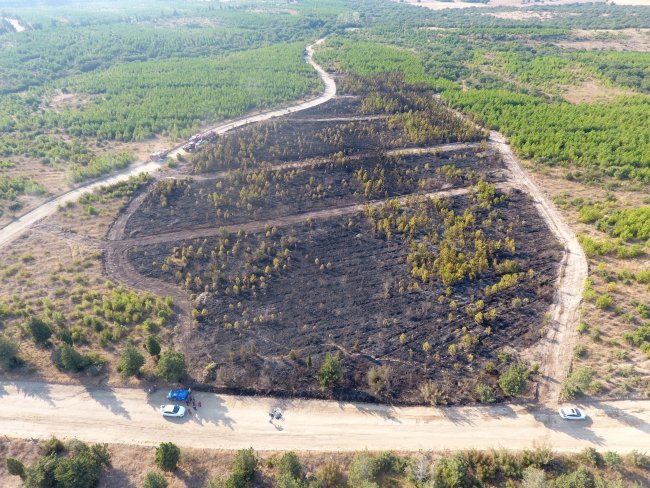Edirne'de Ormanlık Alanda Yangın! 30 Dönüm Alan Zarar Gördü