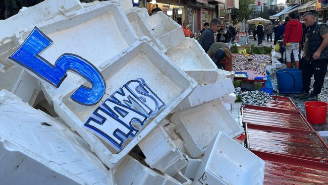 Edirne'de Kilosu 5 Liraya Düşen Hamsiyi Kasa Kasa Aldılar!