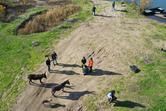 İspanyol Akademisyen Çevre Temizliğine Eşek ve Köpekleriyle Geldi