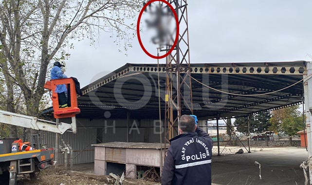 (ÖZEL) Hırsızlık İçin Çıktığı Elektrik Direğinde Feci Şekilde Can Verdi