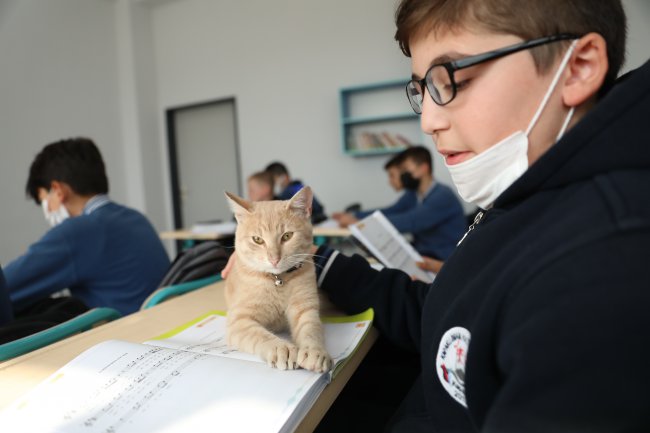 Okulun Yeni Öğrencisi "Tarçın", Okulun Maskotu Oldu