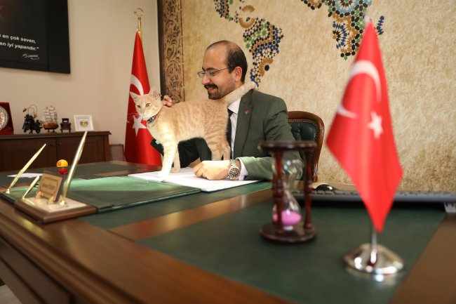 Okulun Yeni Öğrencisi "Tarçın", Okulun Maskotu Oldu