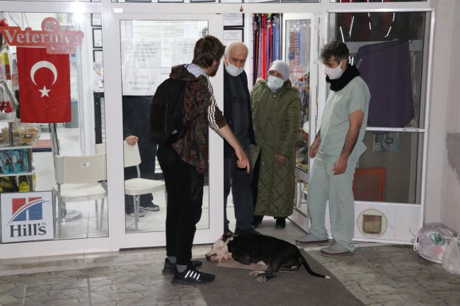 Saldırdığı Kediyi Telef Eden Yasaklı Irk Köpek Barınağa Götürüldü