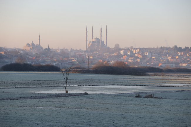 Soğuk Hava Nedeniyle Tarlalar Buzla Kaplandı