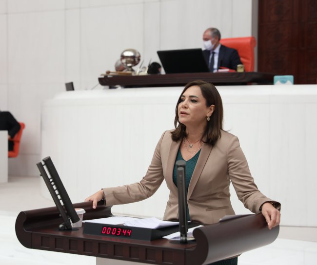 CHP'li Yüceer, "Ayçiçek Yağında Kriz Kapıda"