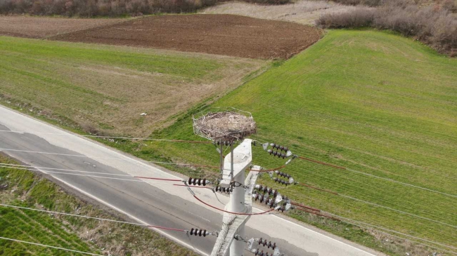 Leylek Yuvalarının Bakımı Kameralı Dronla Yapılıyor