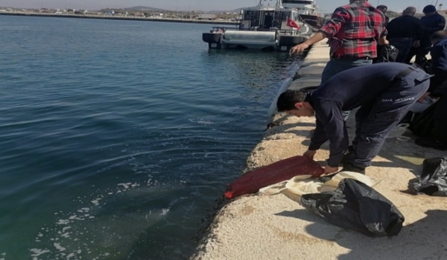 Kaçak Toplanan 1 Ton Kum Midyesi Ele Geçirildi