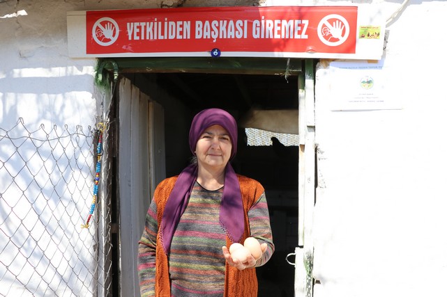 Köyde Yaşayan Kadınların Hayatı Gezen Tavuk Projesiyle Değişti