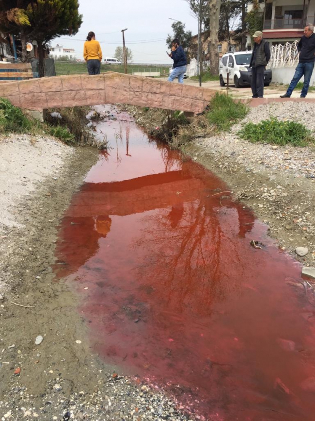 Sanayi Atıkları Derenin Rengini Kırmızıya Çevirdi