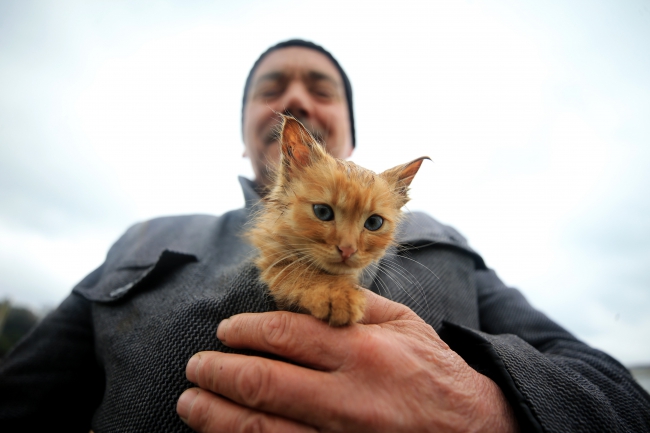 Taşkın Bölgesinde Islanan Kedi Yavrusunu Ceketinde Isıttı