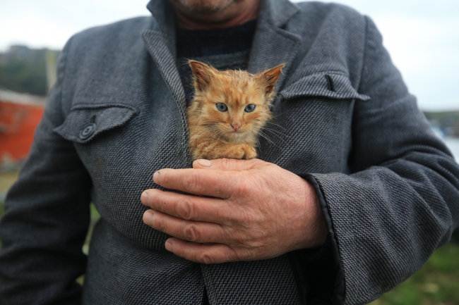 Taşkın Bölgesinde Islanan Kedi Yavrusunu Ceketinde Isıttı