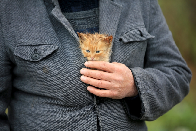 Taşkın Bölgesinde Islanan Kedi Yavrusunu Ceketinde Isıttı