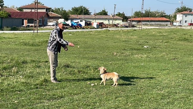 Barakada Çıkan Yangında 1 Kişi Öldü! Beslediği Köpekler Enkazın Başından Ayrılmadı