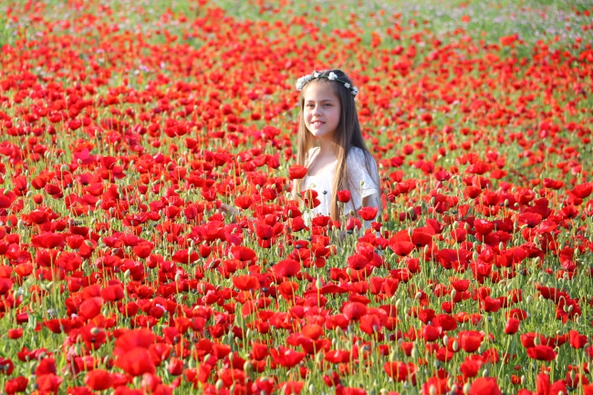 Gelincik Tarlaları Fotoğraf Tutkunlarını Ağırlıyor