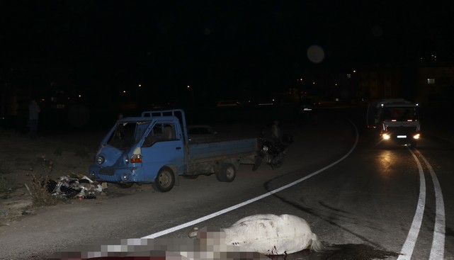 Kamyonet Ata Çarptı! At Telef Oldu Sürücü Yaralandı