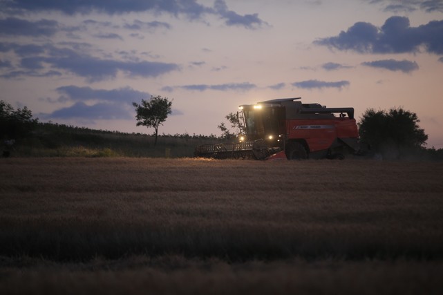 Çiftçilerin Hasat Mesaisi Gece Gündüz Devam Ediyor