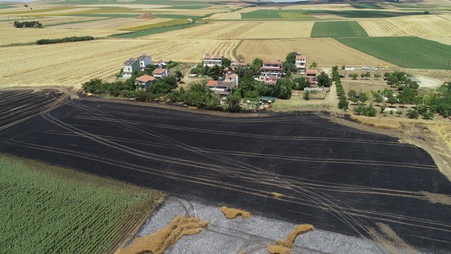 50 Dönüm Tarım Alanı Yandı