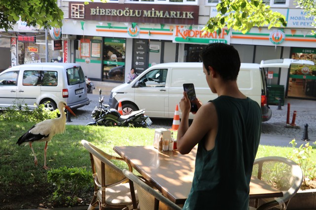 Tekirdağ'a Dönen "Yaşar" İsimli Leylek Kent Sakinlerini Sevindirdi