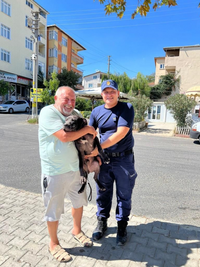 Sahibiyle Yüzerken Denizde Kaybolan Köpeği Sahil Güvenlik Kurtardı