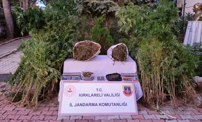 Evinin Bahçesinde 558 Kök Hint Keneviri Ele Geçirildi