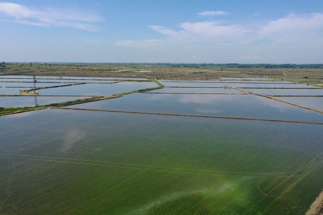 Çeltik Ekimi Başladı