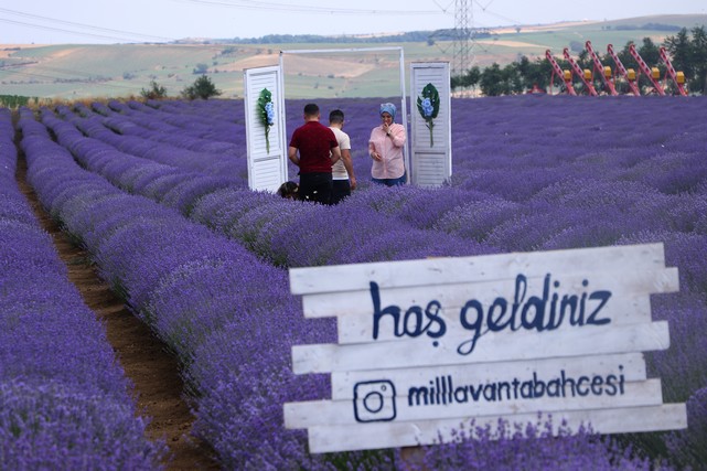 Tekirdağ, Doğası, Denizi ve Lavanta Tarlalarıyla Da Anılır Hale Geldi