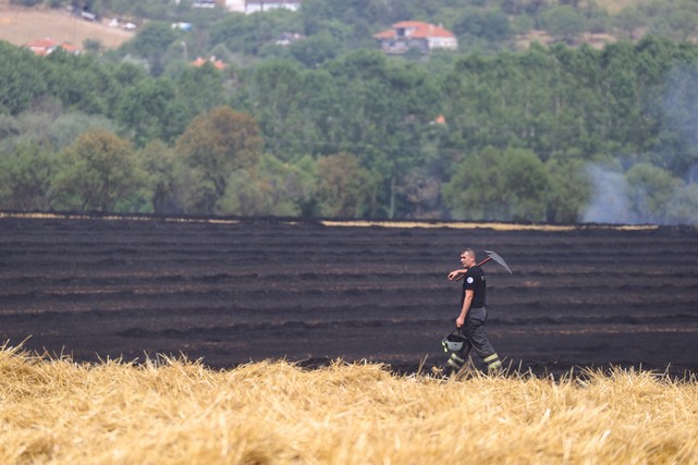 20 Günde 930 Dönüm Ekili Alan Yandı!