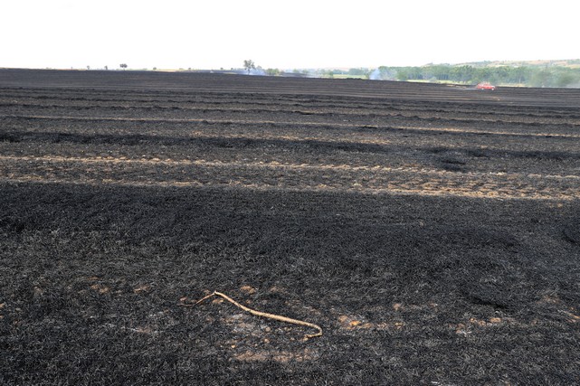 20 Günde 930 Dönüm Ekili Alan Yandı!