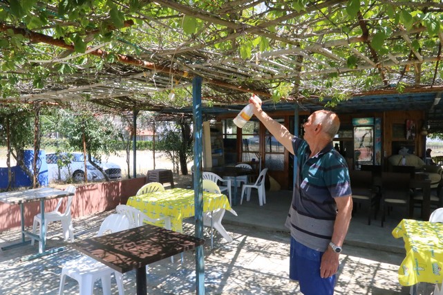 Tatilciler ve İlçe Sakinleri Sivrisineklerden Dertli