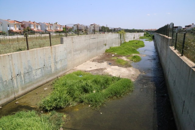 Tatilciler ve İlçe Sakinleri Sivrisineklerden Dertli