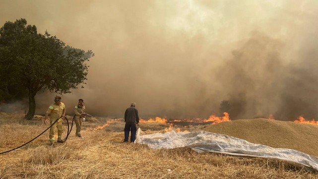 Çanakkale'deki Orman Yangınında Köylüler Hayvanlarını Sırtlarında Taşıyarak Kurtardı