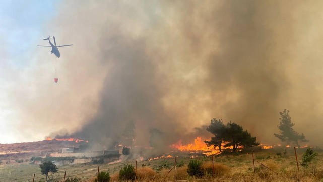 Çanakkale'deki Orman Yangınında Köylüler Hayvanlarını Sırtlarında Taşıyarak Kurtardı
