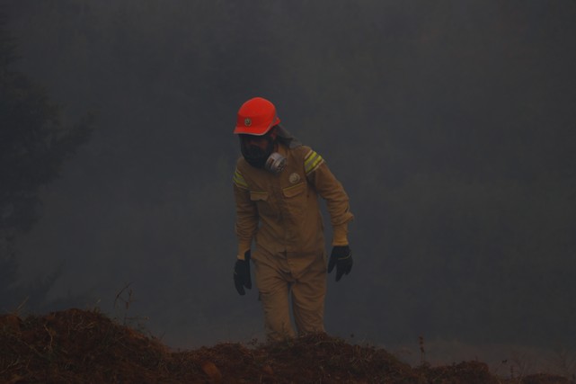 Malkara'daki Orman Yangınına 554 Personel ve 113 Araç İle Müdahale Ediliyor