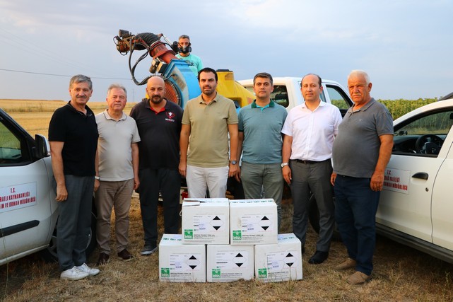 Tekirdağ'da Çekirge İstilası! İlaçlama Başlatıldı