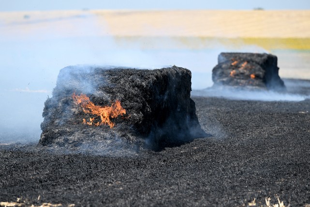 Tarlada Çıkan Yangın Arı Kovanlarına Sıçradı