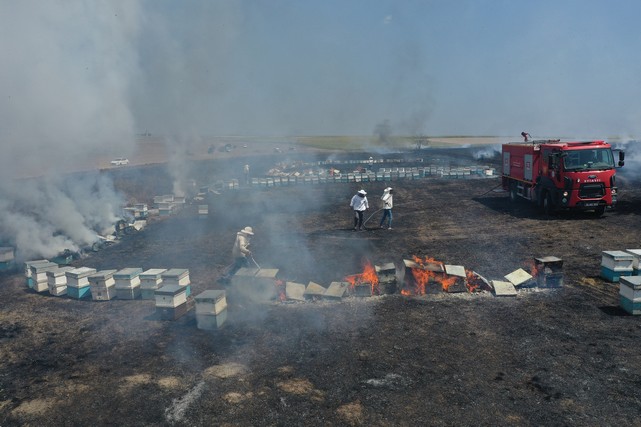 Tarlada Çıkan Yangın Arı Kovanlarına Sıçradı