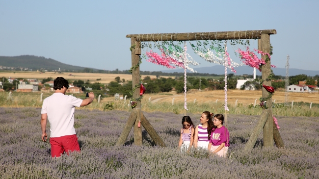 Edirne'deki lavanta tarlaları bayram tatilinde ziyaretçilerini ağırladı