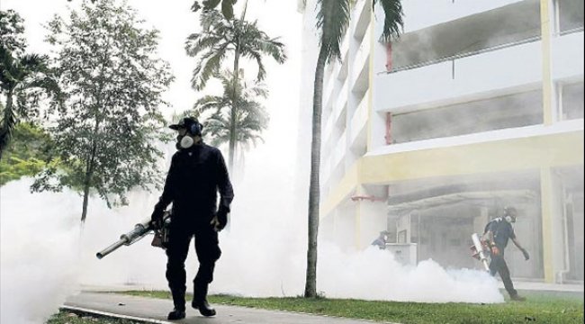 Singapur’da Zika vakası 56’ya yükseldi