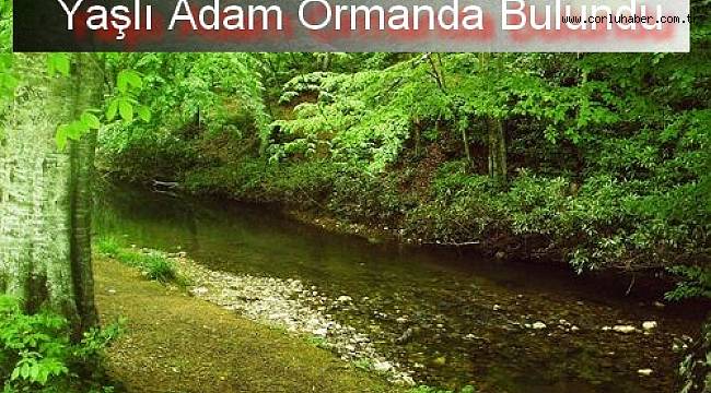 Yaşlı Adam Ormanda Bulundu
