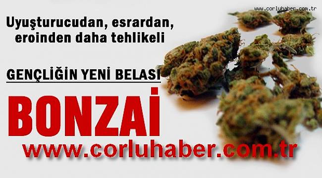 Aramızdaki Bonzai