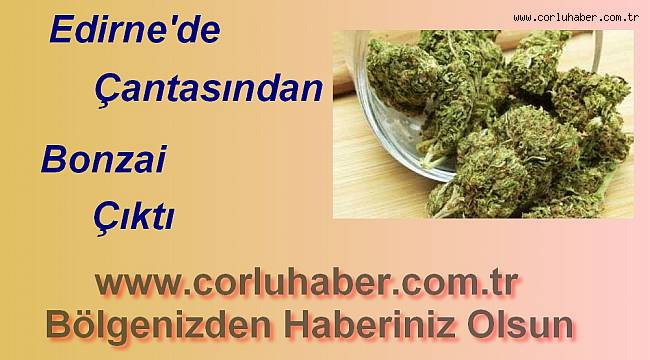 Çantasından Bonzai Çıkınca Tutuklandı