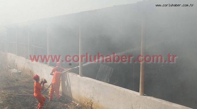 Çiftlikte Yangın Çıktı