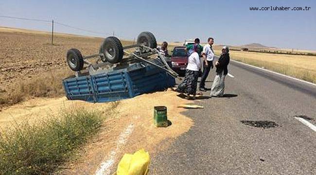 Devrilen Römorktaki 1 Ton Ayçiçeği Yere Döküldü