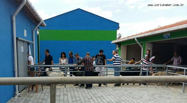 En Fazla Kurbanlık Hayvan Çorlu Mezbahasında Kesildi