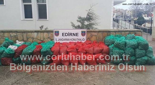 Kamyonetten 1500 Kilogram Kum Midyesi Çıktı