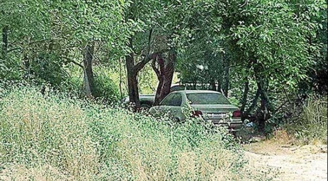 PKK’nın bombalı araçları Cudi Dağı’ndaki ormanlık alanda sakladığı belirlendi