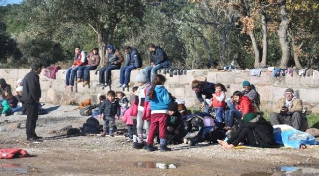 Yunanistan'a Geçmek İsteyen 534 Kaçak Yakaladı