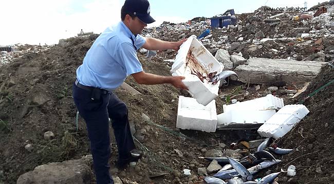 Zabıtadan Seyyar Balıkçı Operasyonu